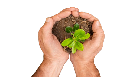 Environmental conservation